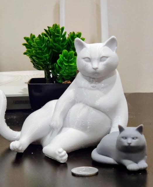 Large cat collectible with scale comparison